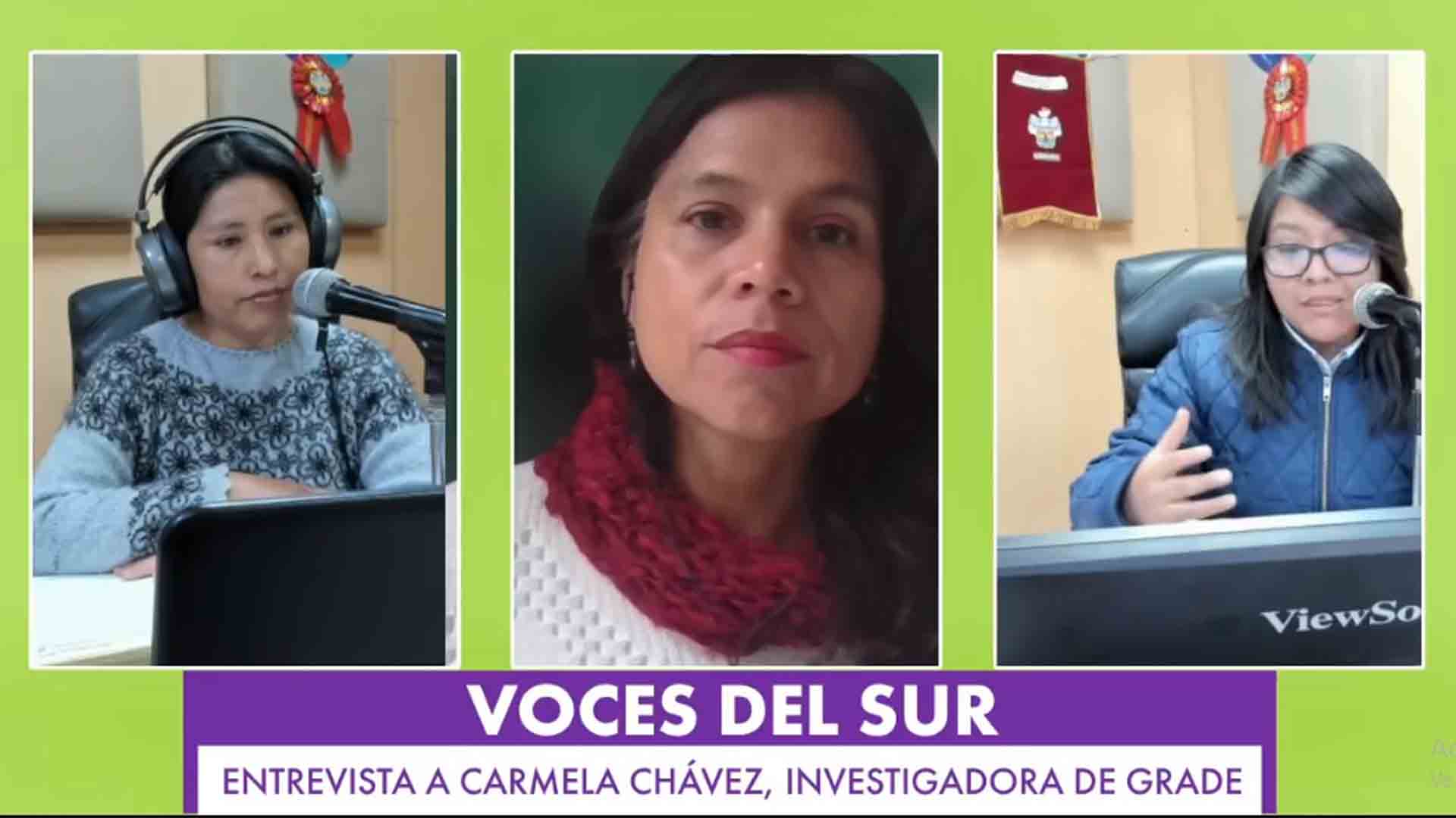 Carmela Chávez: Ley de licenciamiento permanente consolidó contrarreforma universitaria