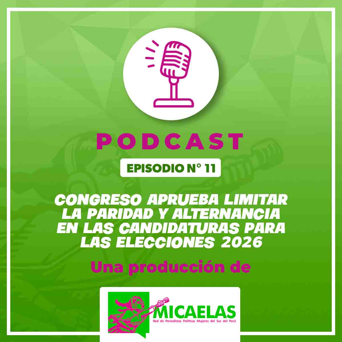 Congreso aprueba limitar la paridad y alternancia en las candidaturas para las elecciones 2026