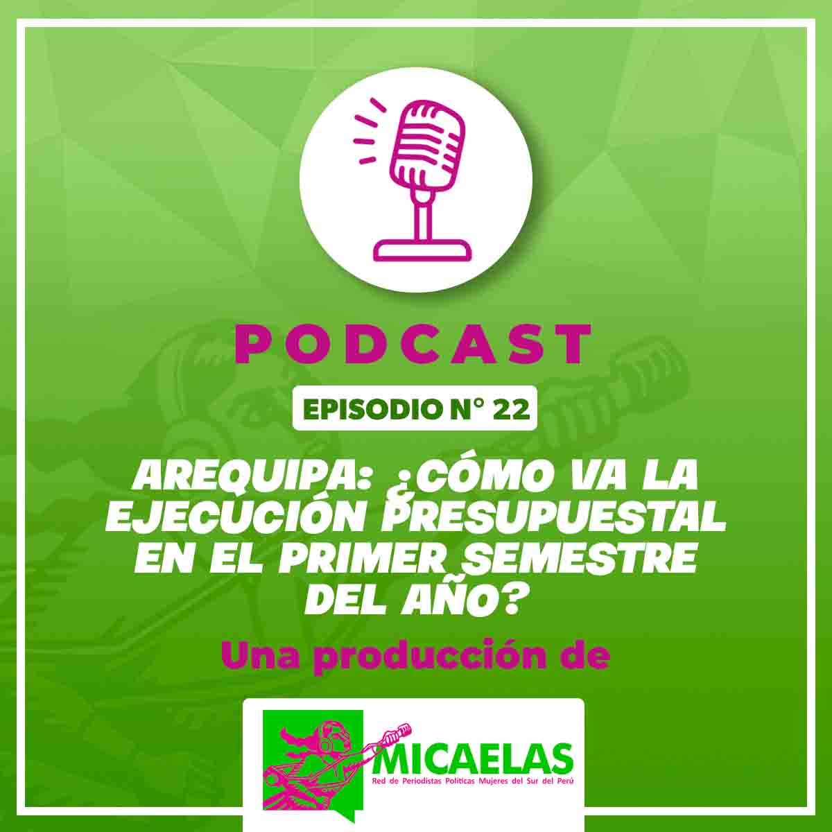 Arequipa: ¿Cómo va la ejecución presupuestal en el primer semestre del año?