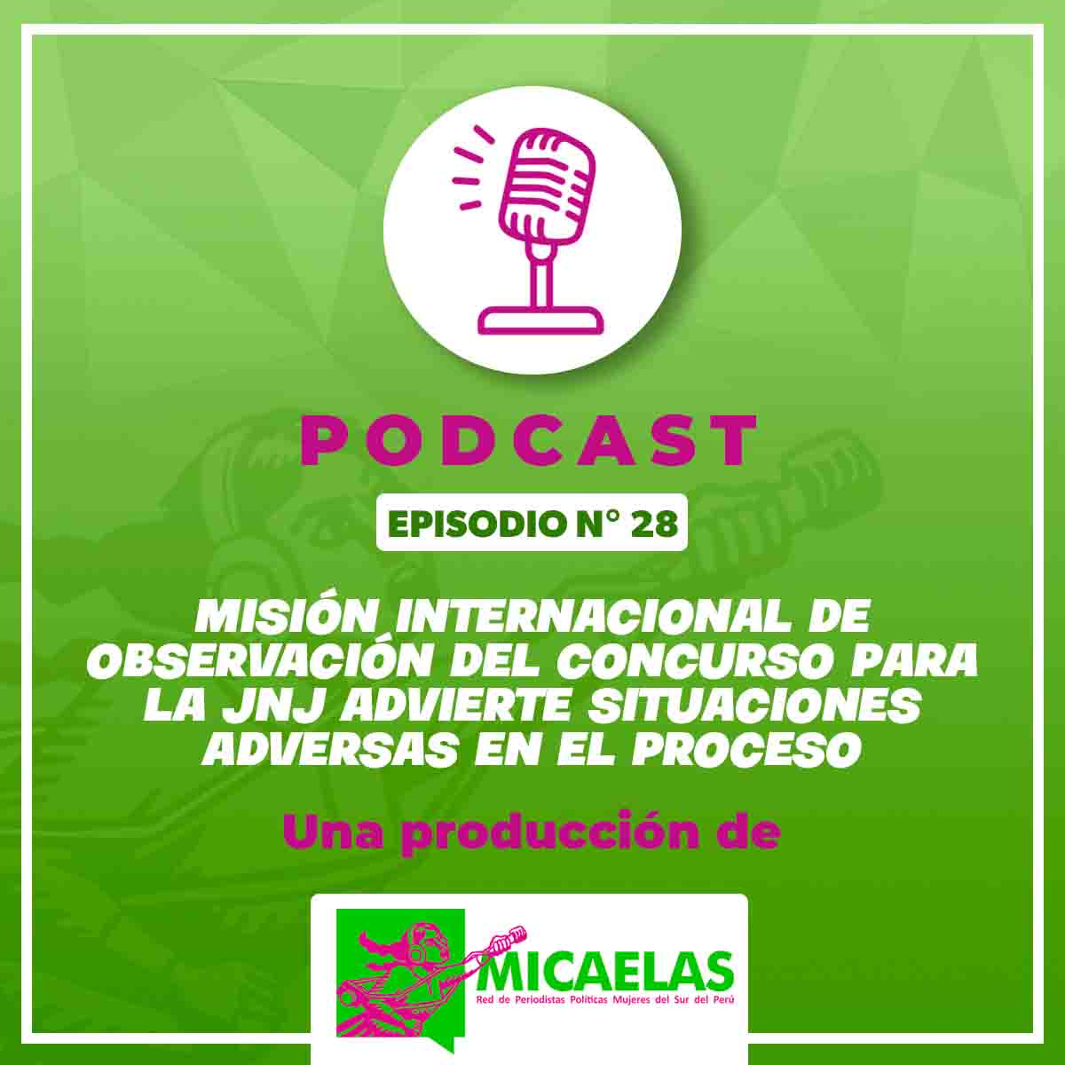 Misión Internacional de Observación del concurso para la JNJ advierte deficiencias en el proceso