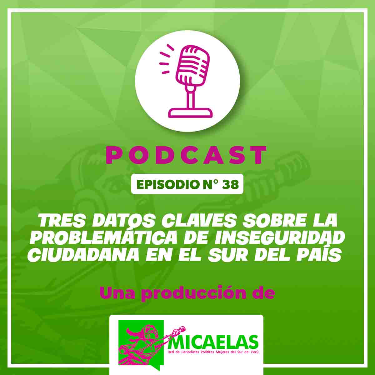 Tres datos claves sobre la problemática de inseguridad ciudadana en el sur del país