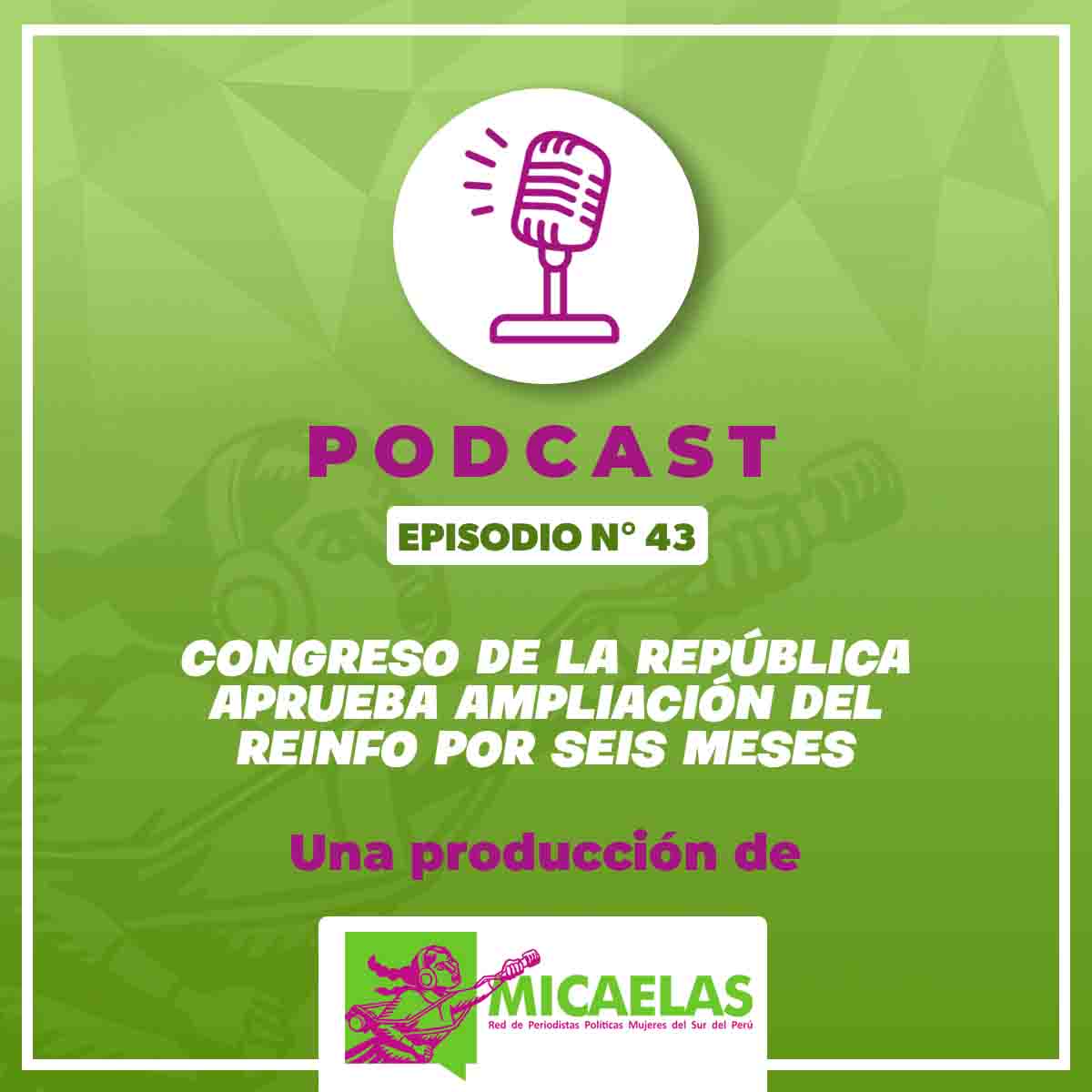 Congreso de la República aprueba ampliación del Reinfo por seis meses