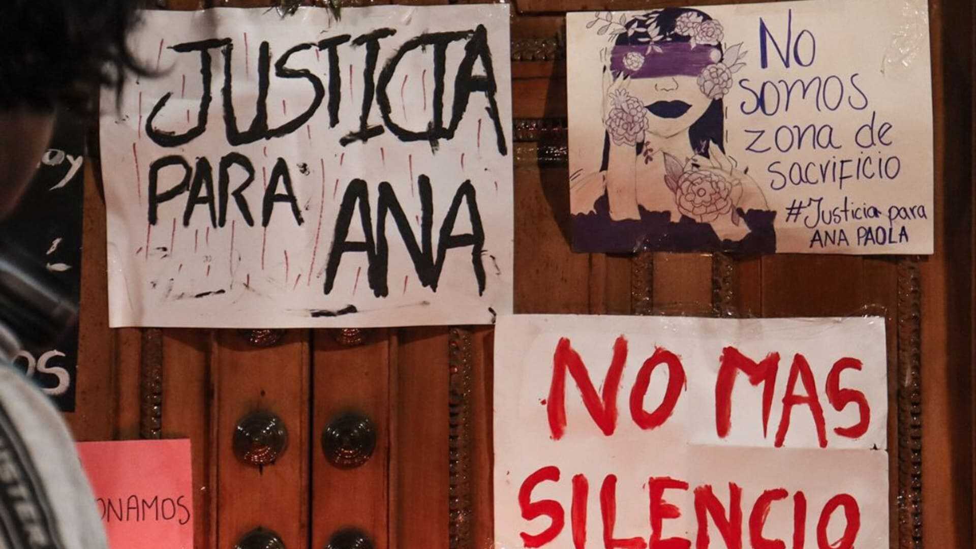 Arequipa: indignación por la polémica condena al feminicida de Ana Paola