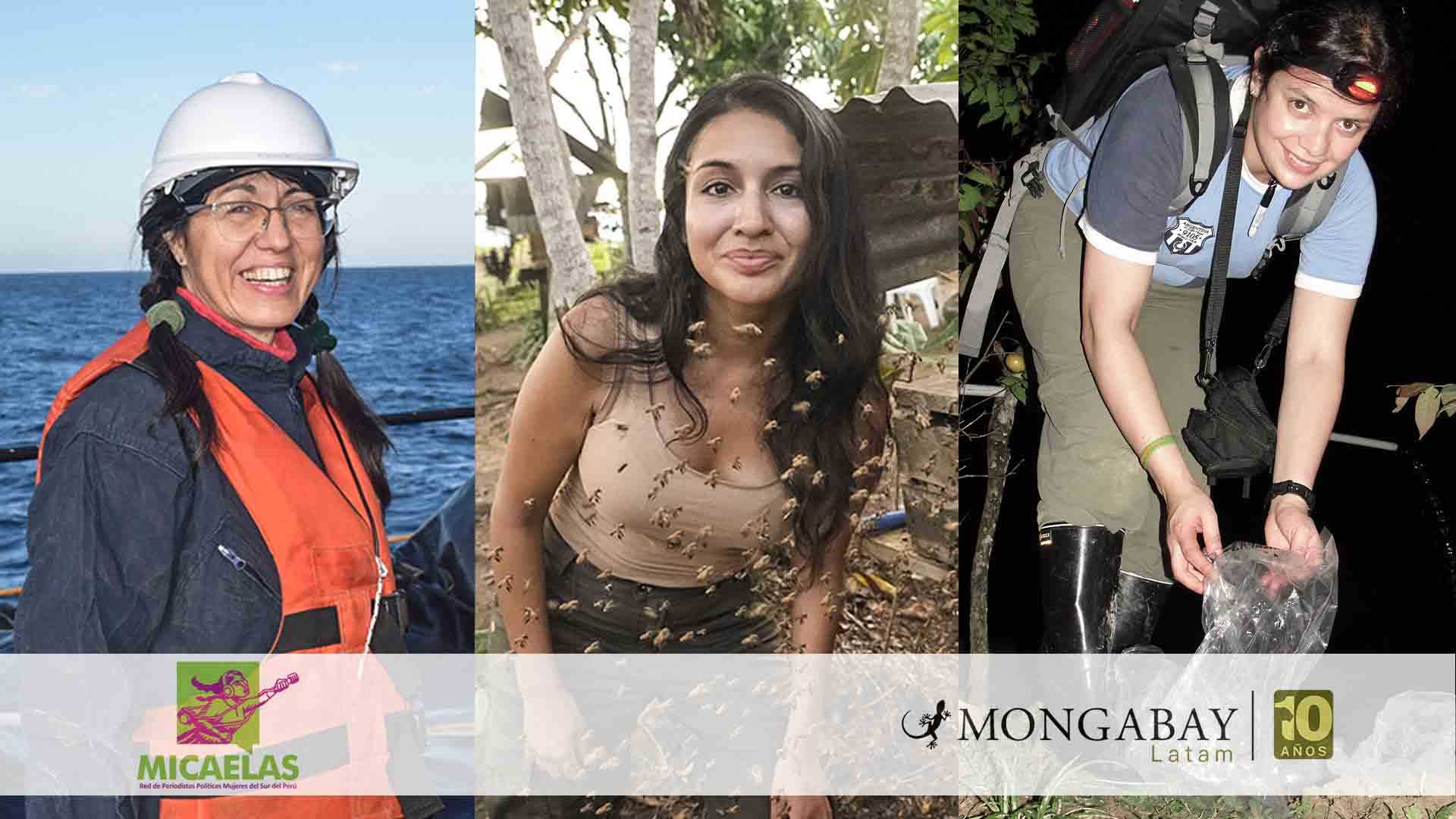 Investigadoras latinoamericanas se aventuran para conocer el mar, la selva y especies asombrosas